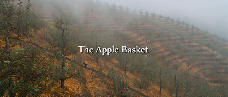 Apple Basket